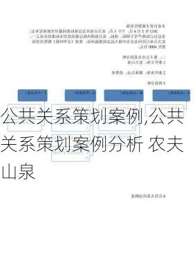 公共关系策划案例,公共关系策划案例分析 农夫山泉