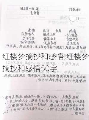 红楼梦摘抄和感悟,红楼梦摘抄和感悟50字