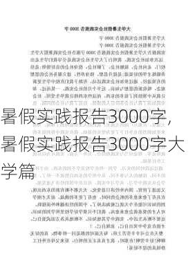 暑假实践报告3000字,暑假实践报告3000字大学篇