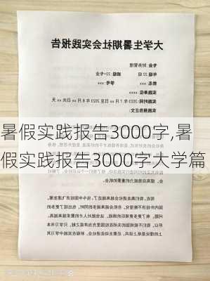 暑假实践报告3000字,暑假实践报告3000字大学篇