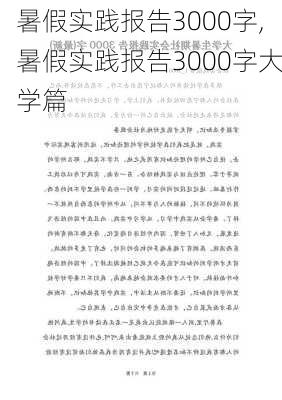 暑假实践报告3000字,暑假实践报告3000字大学篇