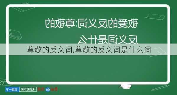 尊敬的反义词,尊敬的反义词是什么词